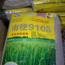 【热卖】水稻种子南粳9108农业部超级稻产区直销量大优惠