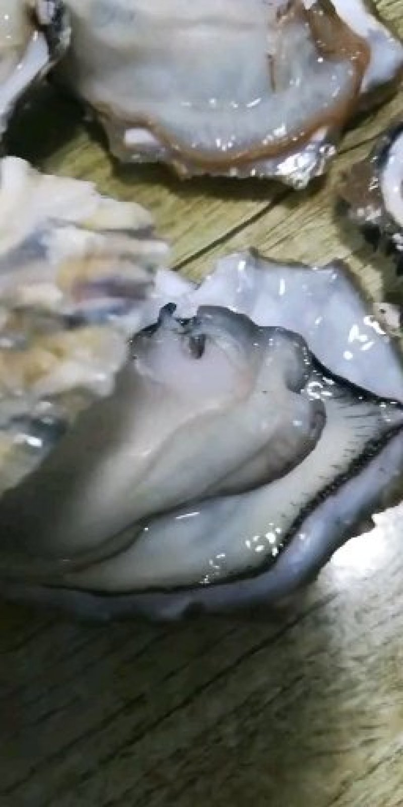 生蚝
