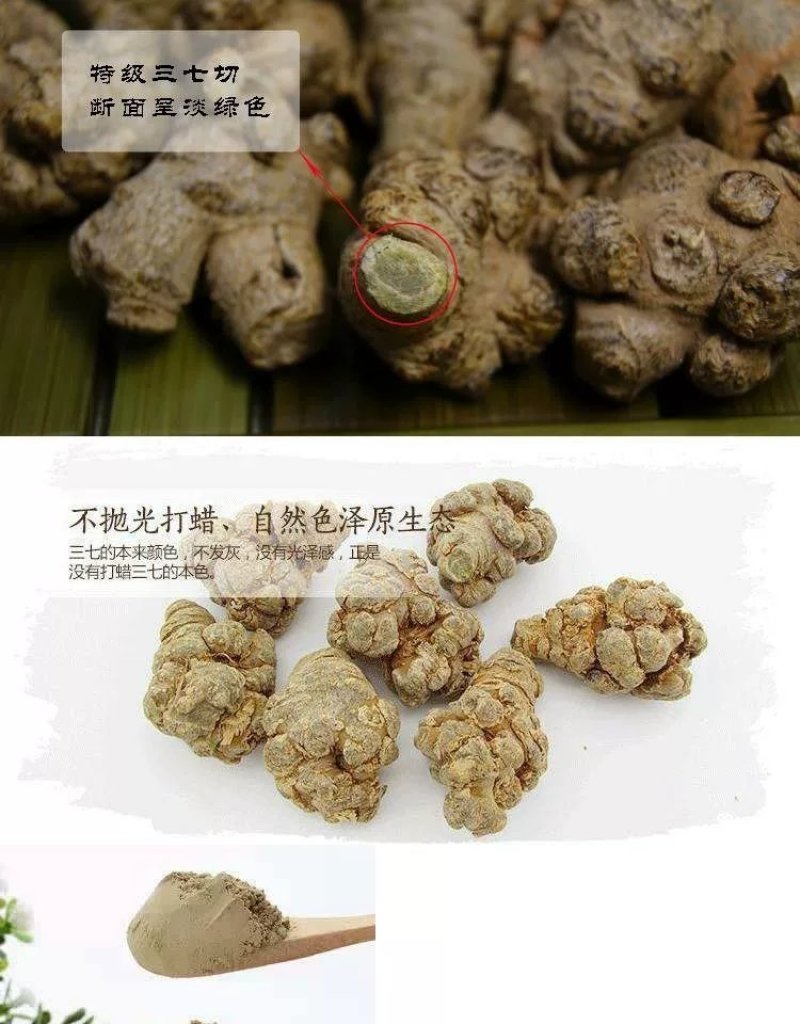 正宗文山精品三七
