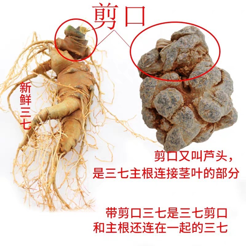 正宗文山精品三七