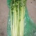 西芹