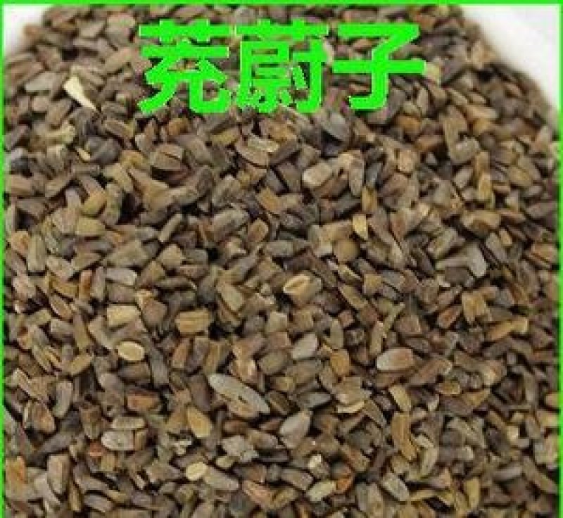 茺蔚子，常年批发供应农副产品，茺蔚子，量大从优货真价实