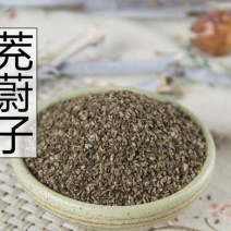 茺蔚子，常年批发供应农副产品，茺蔚子，量大从优货真价实