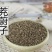 茺蔚子，常年批发供应农副产品，茺蔚子，量大从优货真价实