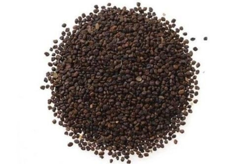 茺蔚子，常年批发供应农副产品，茺蔚子，量大从优货真价实