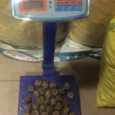 欢迎全国各地电商平台，市场老板，商超采购前来洽谈