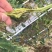 奥丰青枯立克农用微生物菌剂修复伤口防病
