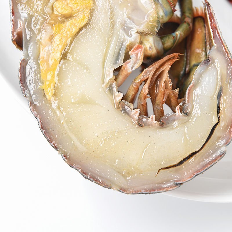 规格2斤一只波士顿龙虾波龙大龙虾