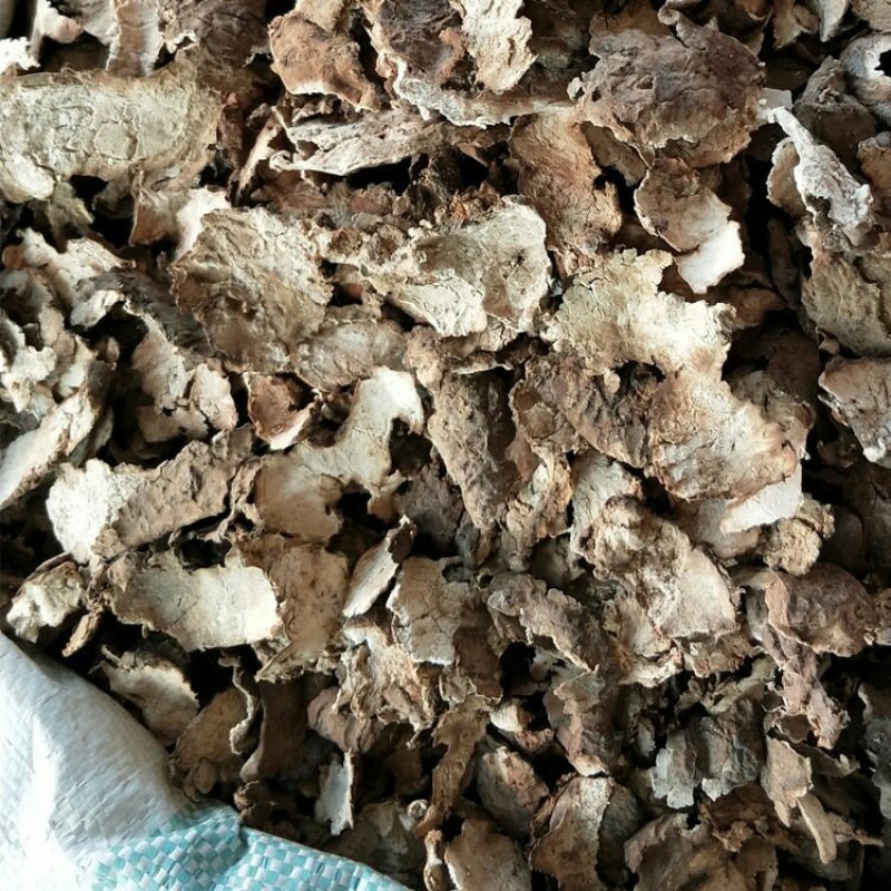 茯苓皮水洗茯苓皮无硫各种中药材中药材