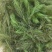 金鱼澡龙虾螃蟹养殖净化水质河道清理专用，