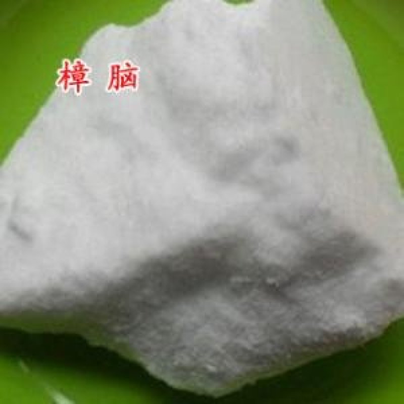 常年批发代购樟脑量大从优包邮