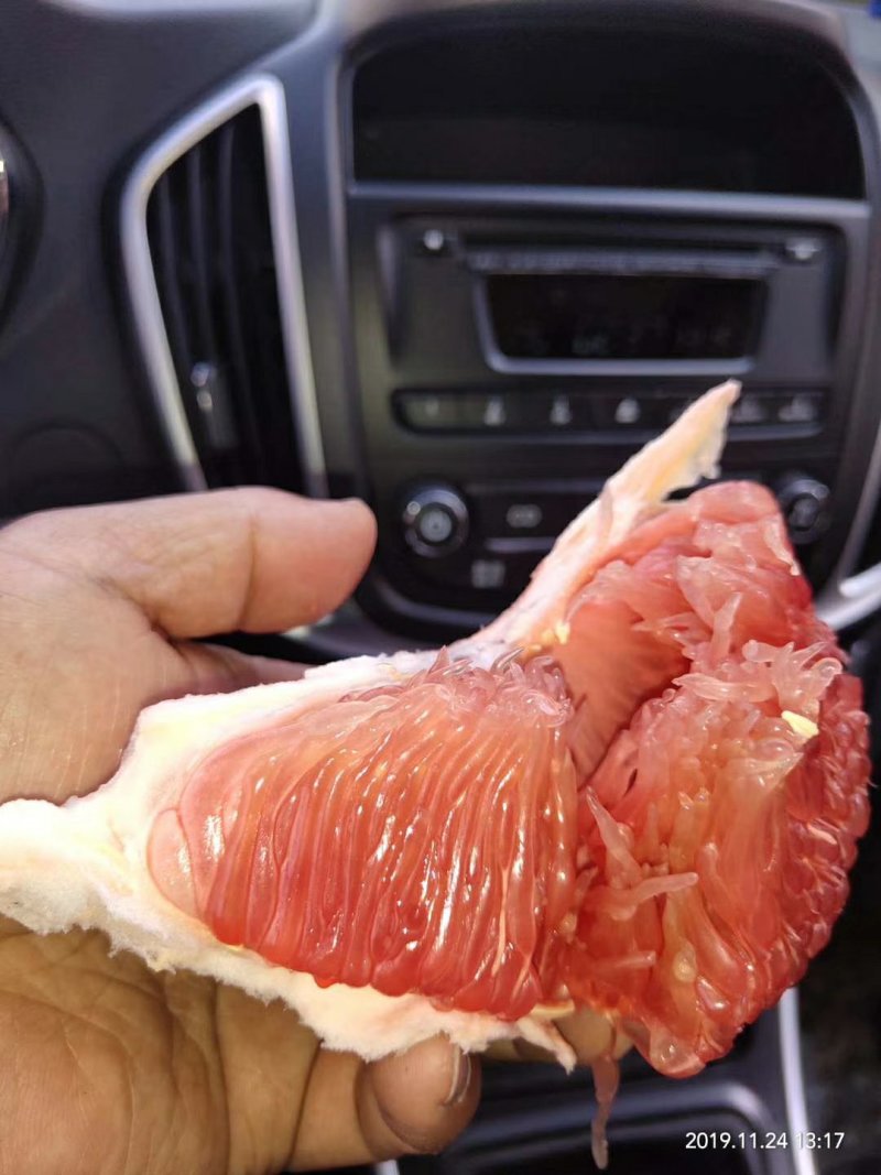 红肉马家柚苗，甜味红肉柚苗，自己果园育苗放心引种现挖保湿