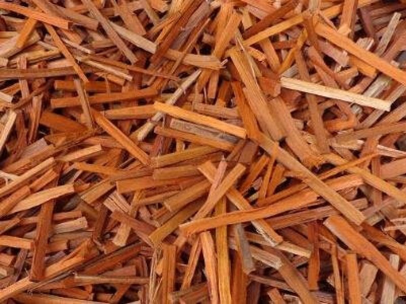 苏木，常年批发供应苏木广西货量大从优