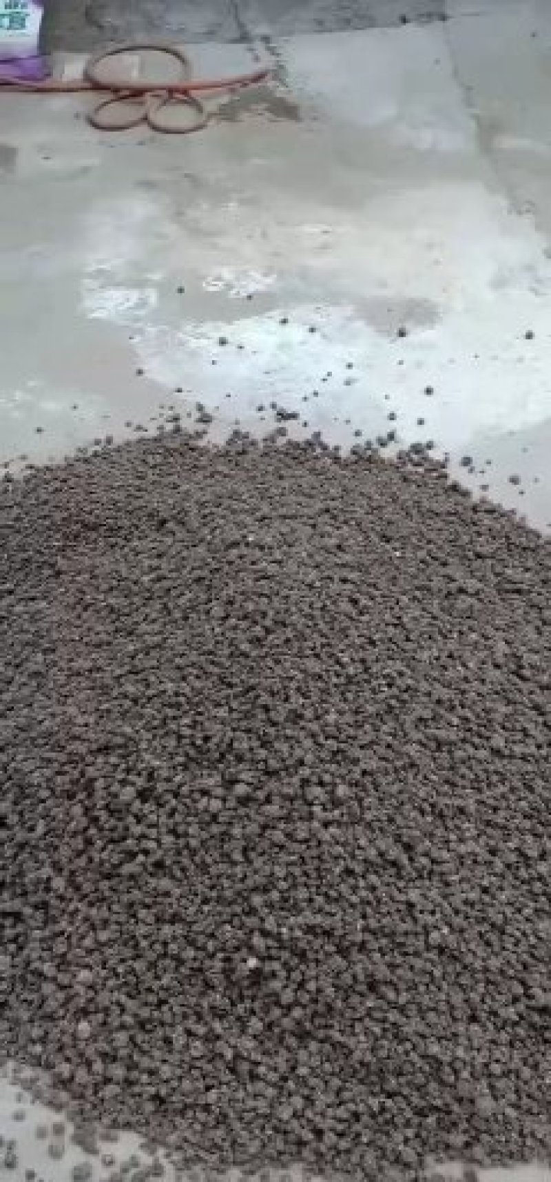 正品猫爪草中药水洗干无常年供应货源充足欢迎来电洽谈