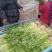 芹菜精品、超市**、产地直供、一手货源、量大从优