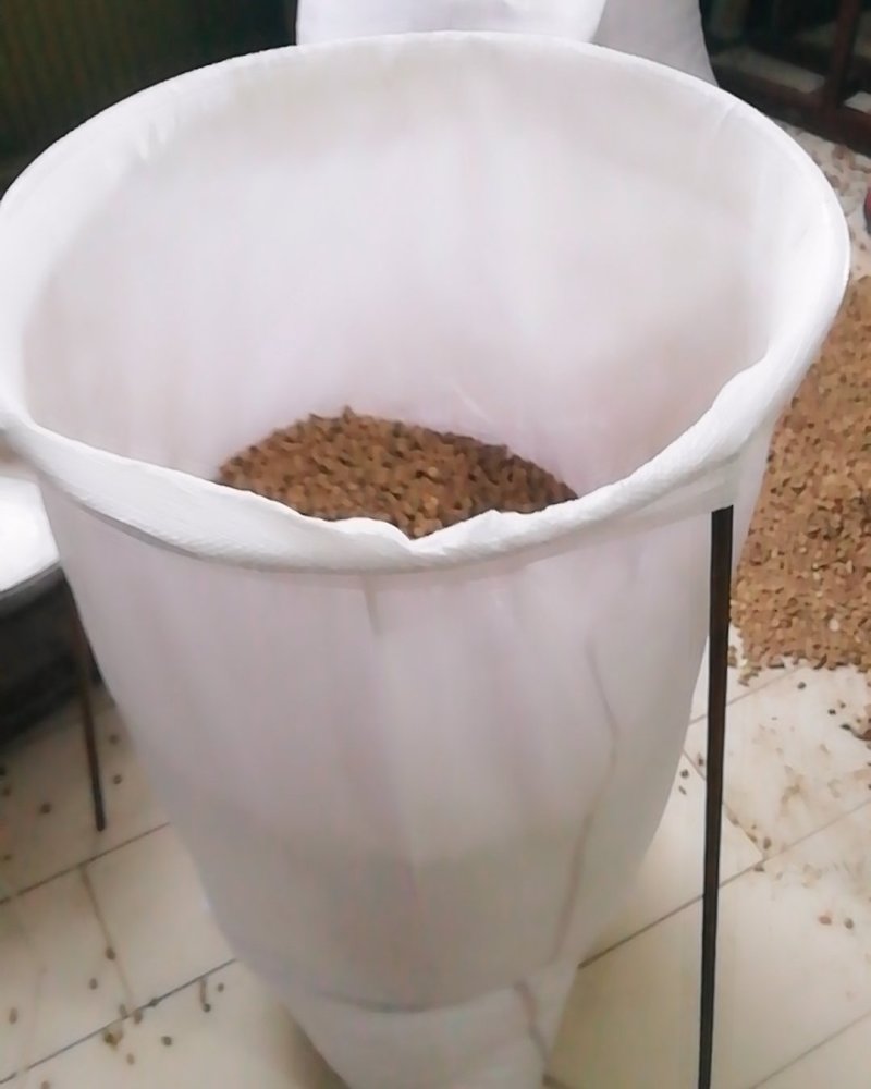 牛膝卒子