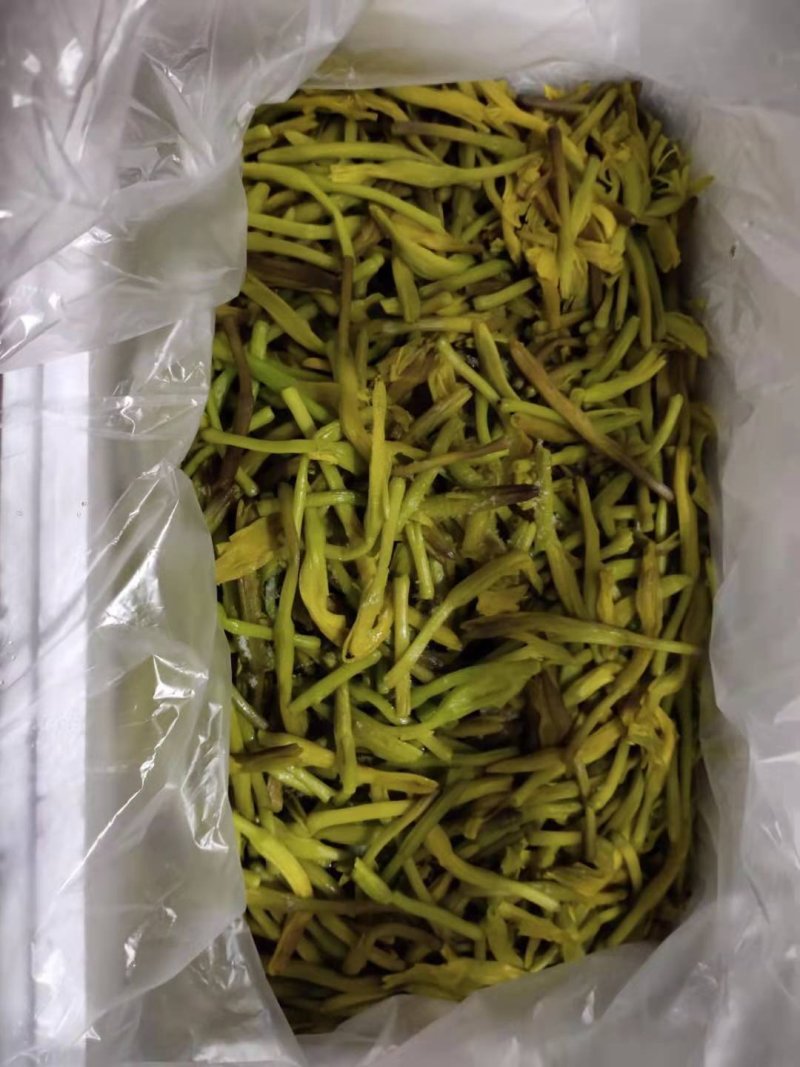 黄花菜
