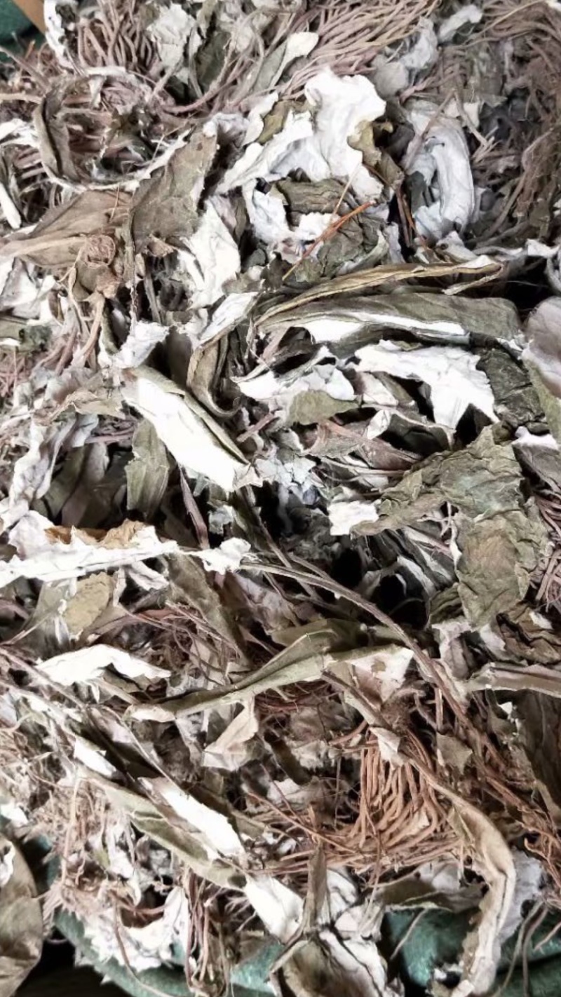 白眉草【包邮】三斤起发货可批量可零售量大从优