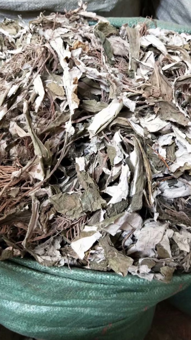 白眉草【包邮】三斤起发货可批量可零售量大从优