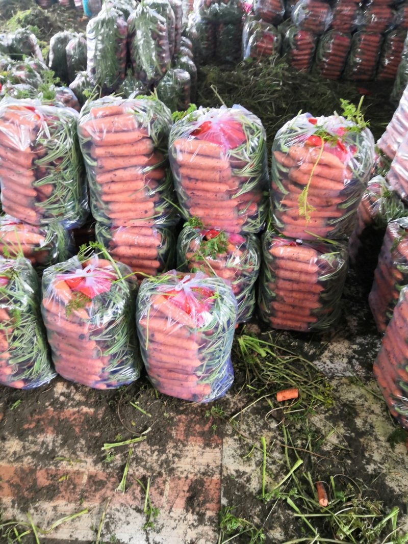 红萝卜，广东包北京包红萝卜，品质保证价格实惠量大从优