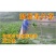 新型皇竹草种子南方北方多年生四季高产牧草猪牛羊鸡鸭鹅鱼兔