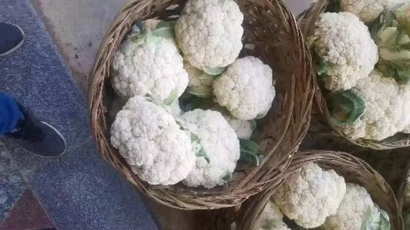 菜花