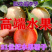 恐龙蛋李子苗口感好,红肉李子苗南北方均可种植