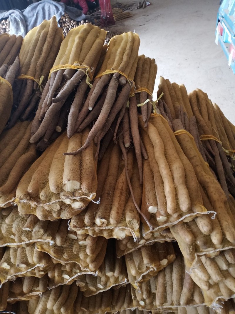 白玉网袋装的大量有货需要的联系