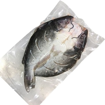 巴沙鱼