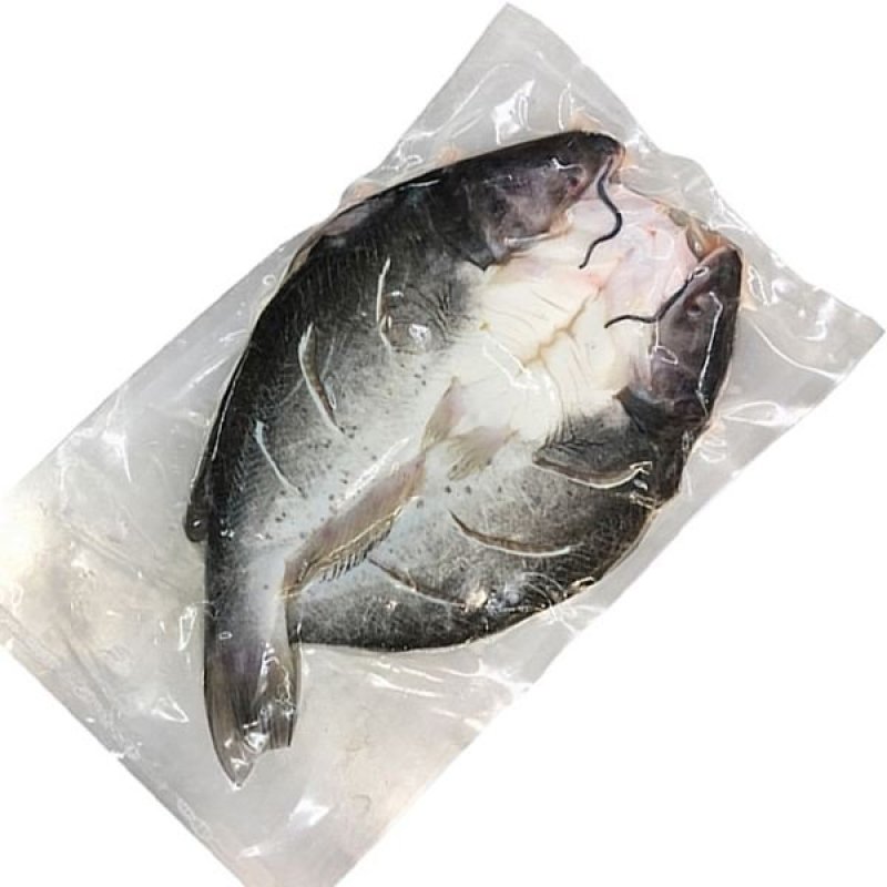 巴沙鱼