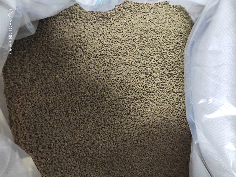 江西樟树中花吴茱萸干货