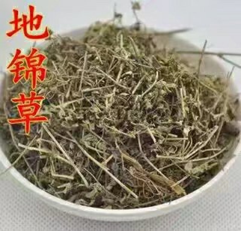 江西野生地锦草大货零售批发