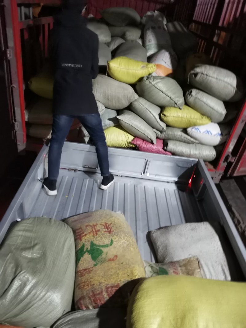 野菊花秦岭腹地天然生长，人工蒸晒高山野菊花量保障信誉好