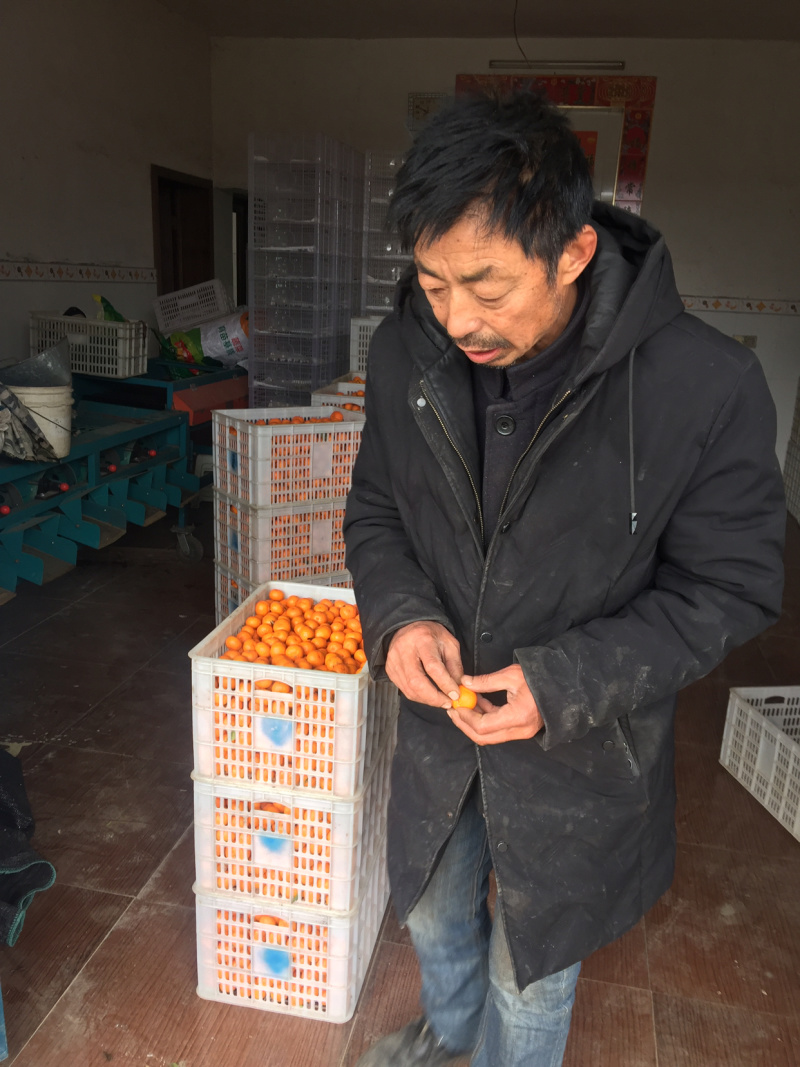 蜜橘小礼品包装有要的吗。？可以送礼佳品哦