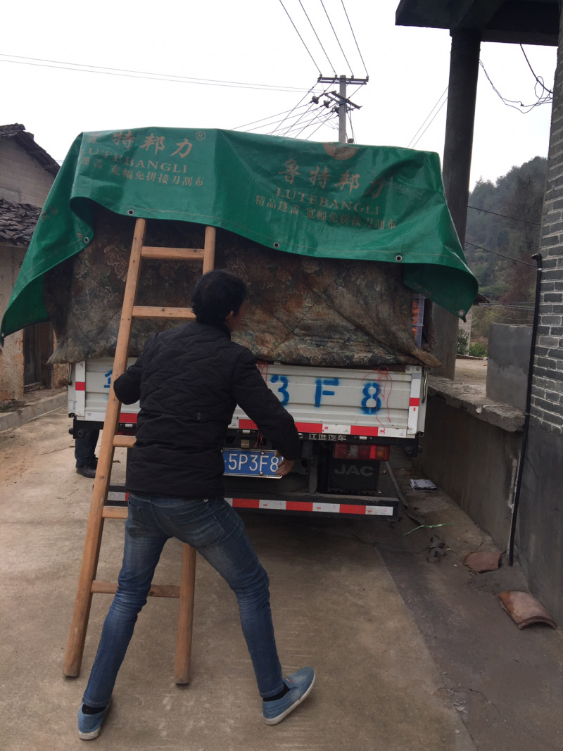 蜜橘小礼品包装有要的吗。？可以送礼佳品哦