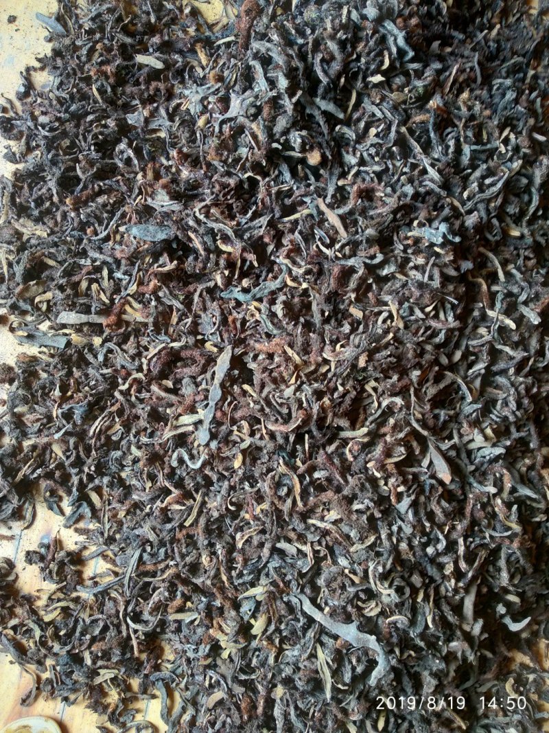 贵州根茎类中药材骨碎补干货无硫高含量爬岩姜生货野生毛姜