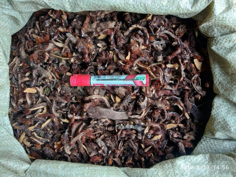 贵州根茎类中药材骨碎补干货无硫高含量爬岩姜生货野生毛姜