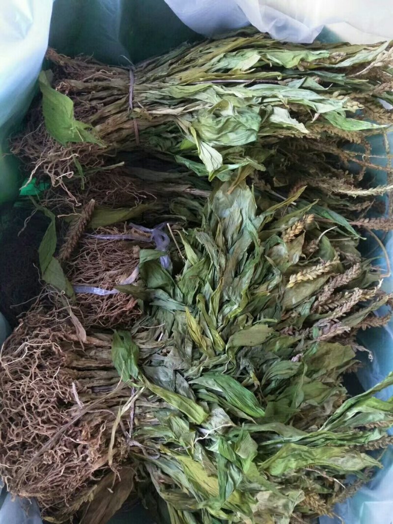 干货见血清需要联系我哦