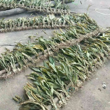 干货见血清需要联系我哦