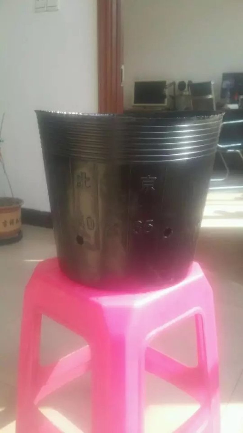 【黑色软花盆】营养杯，美植袋，装土神器，双色盆