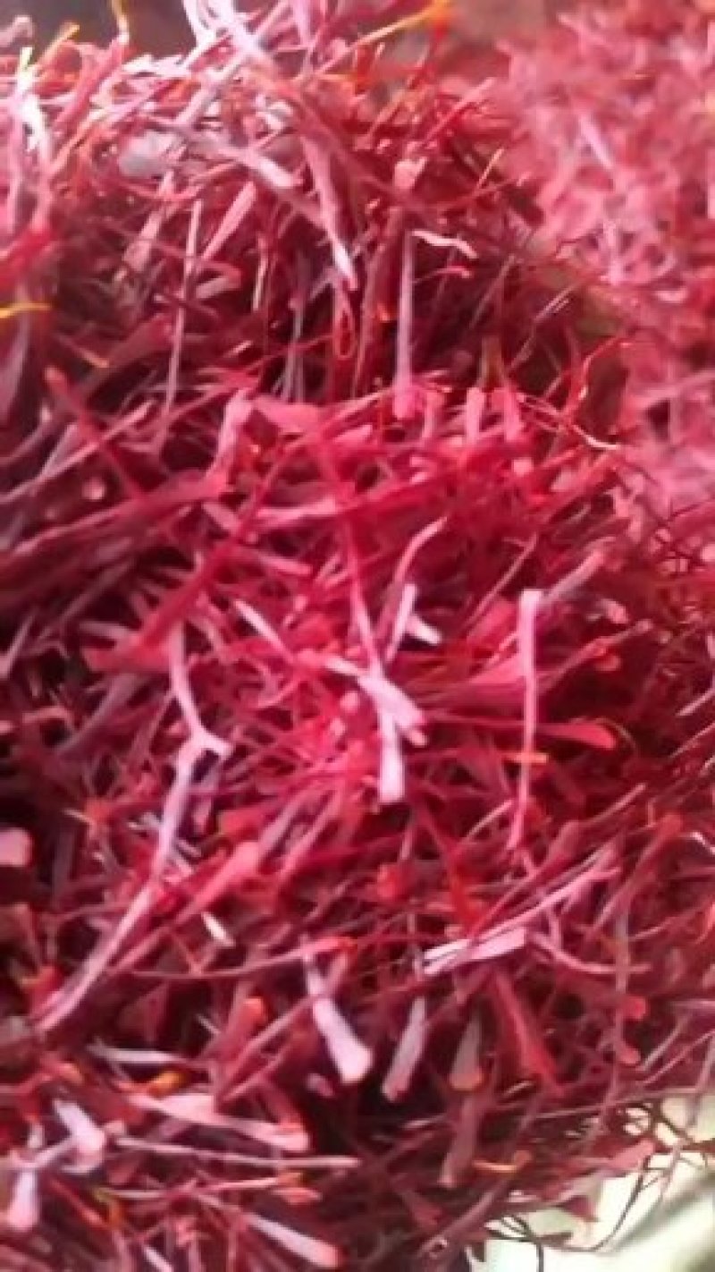 正宗伊朗特级长宽丝藏红花大量批发假一赔十