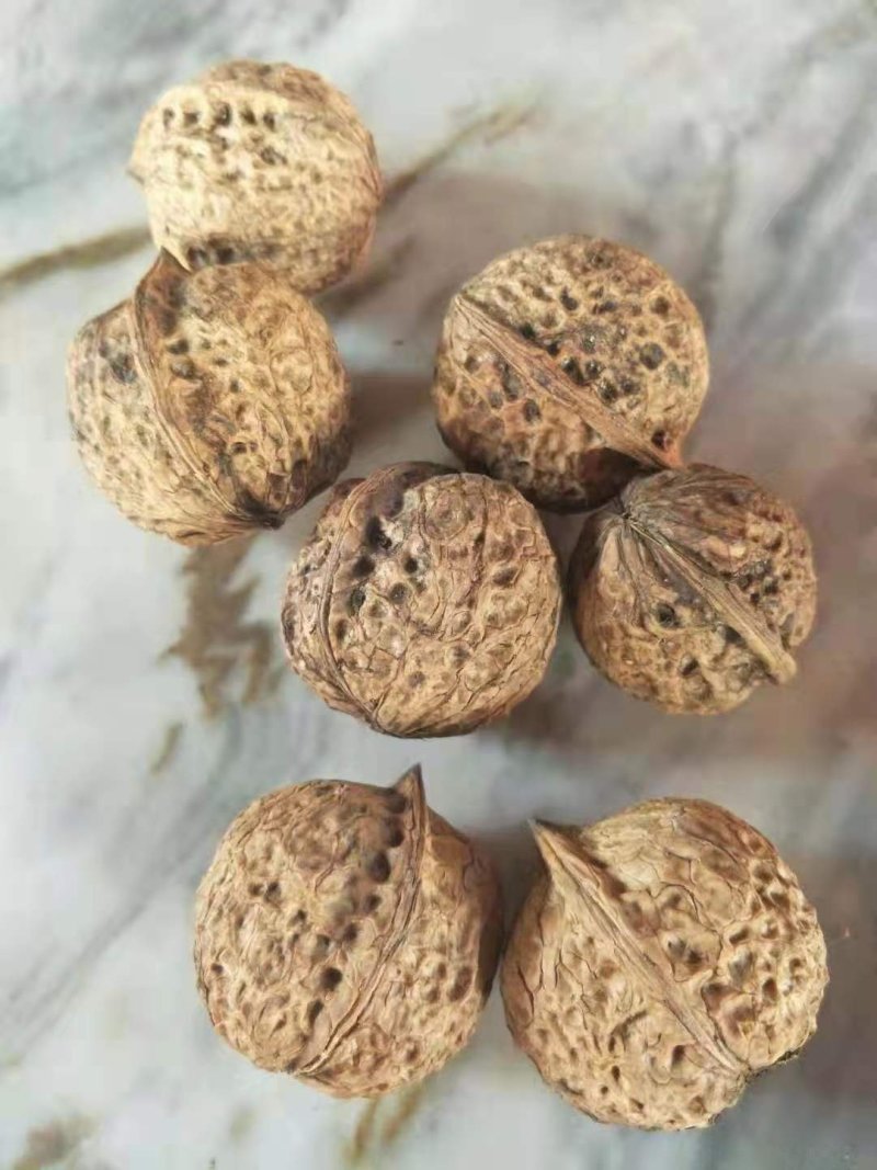 核桃