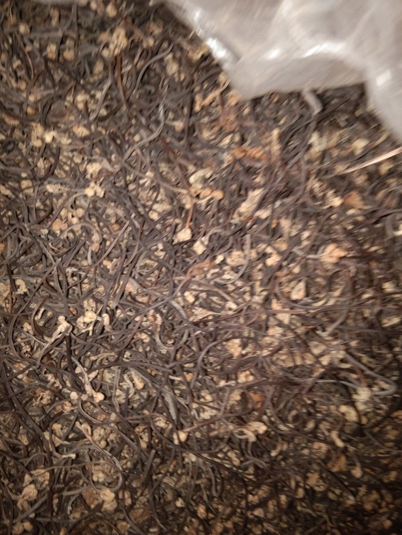 蕨菜干蕨菜野生蕨菜，B级，来自大山深处的美味