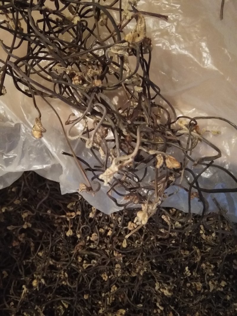 蕨菜干蕨菜野生蕨菜，B级，来自大山深处的美味