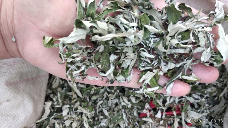 贵州铜仁野生无硫小艾叶干货白蒿艾草色青纯叶产地直发