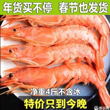 一件代发进口阿根廷红虾超大海鲜水产鲜活深海