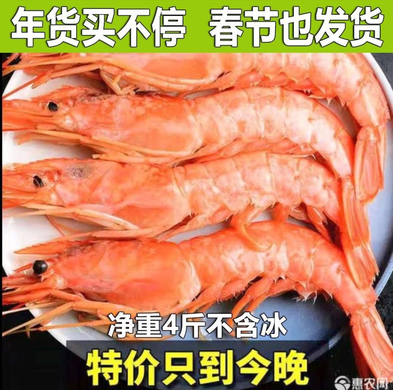 一件代发进口阿根廷红虾超大海鲜水产鲜活深海