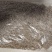 乾德粉如意口感好粉果樱桃番茄糖度高风味佳