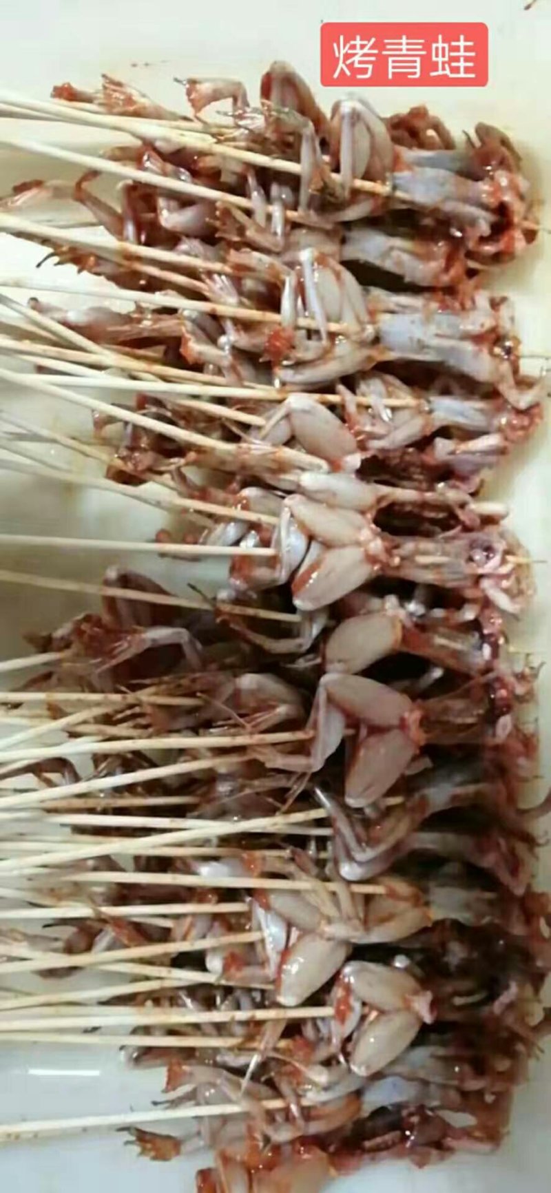 供应青蛙苗，包技术，包回收