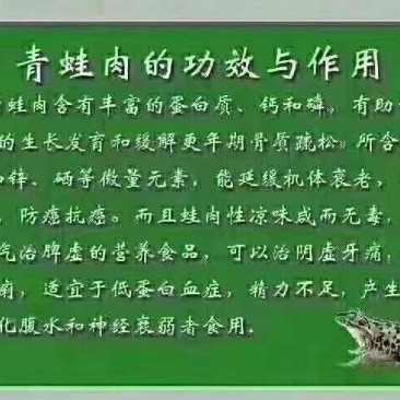 供应青蛙苗，包技术，包回收